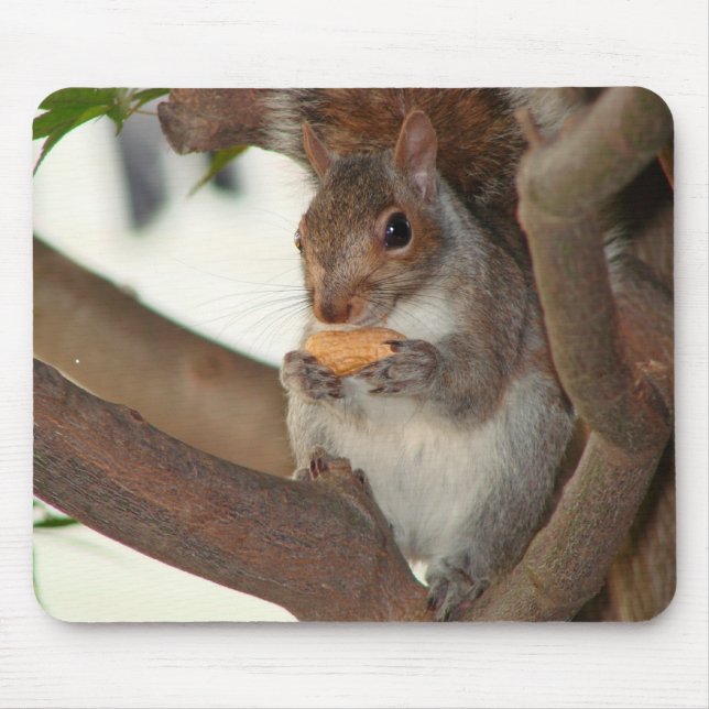 squirrelfriend mouse mat (Front)