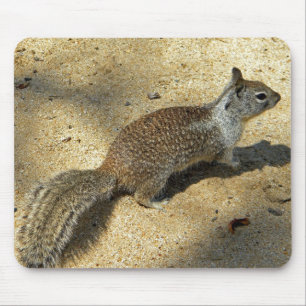 Squirrell Mouse Mat