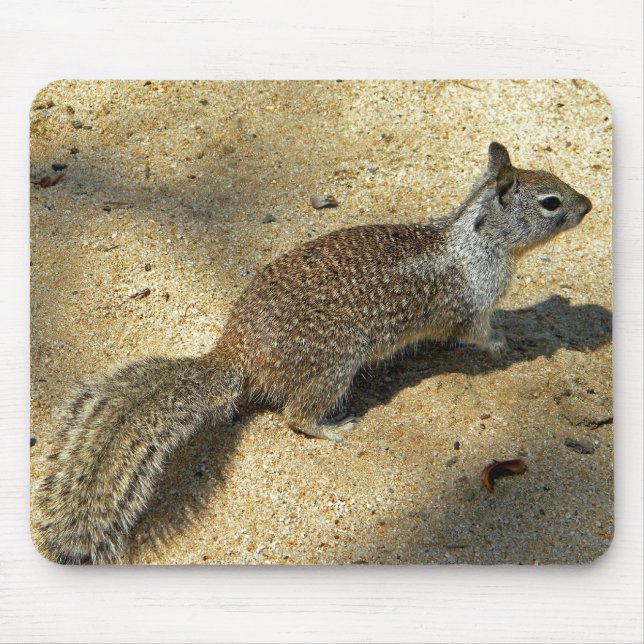 Squirrell Mouse Mat (Front)