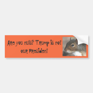 Squirrelly Are You Nuts!Trump is not our President Bumper Sticker