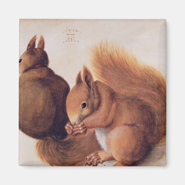 Squirrels, 1512 magnet (Front)