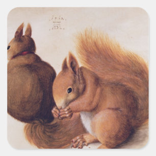 Squirrels, 1512 square sticker