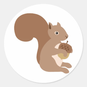 Squirrels Acorn Classic Round Sticker
