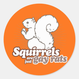 SQUIRRELS ARE JUST GAY RATS CLASSIC ROUND STICKER
