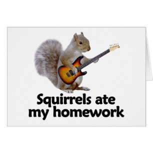 Squirrels ate my homework