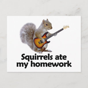 Squirrels ate my homework postcard