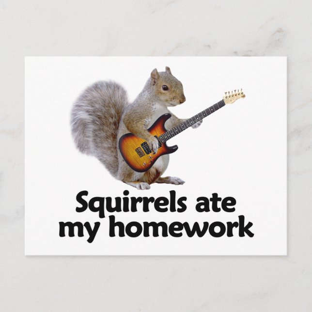 Squirrels ate my homework postcard (Front)
