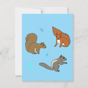 Squirrels  Blue Postcard