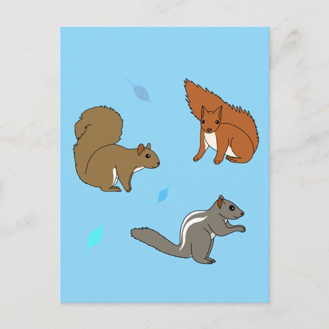 Squirrels  Blue Postcard (Front)
