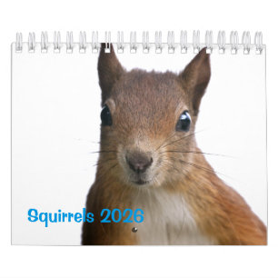 Squirrels Calendar