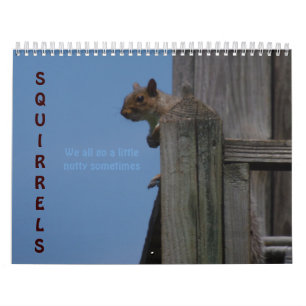 Squirrels! Calendar