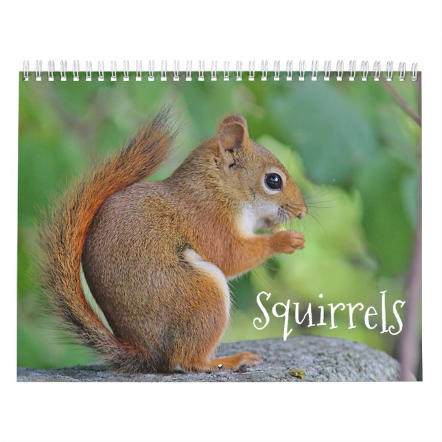 Squirrels Calendar (Cover)
