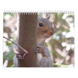 Squirrels! Calendar