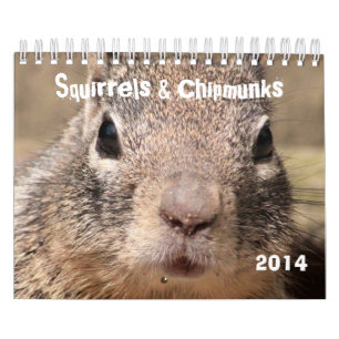 Squirrels & Chipmunks Calendar