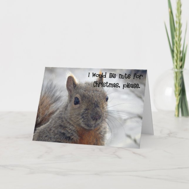 squirrel's christmas wish holiday card (Front)