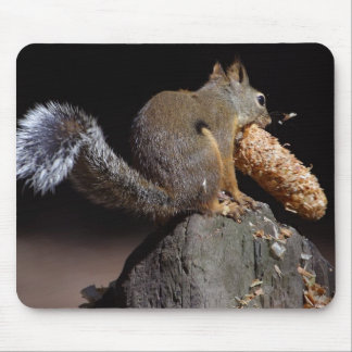 Squirrels Eating Tails Pinecones Mouse Mat