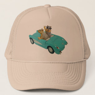 Squirrels in Car Hat