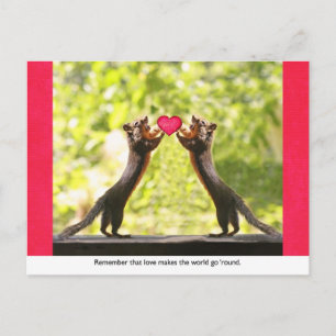 Squirrels in Love Postcard