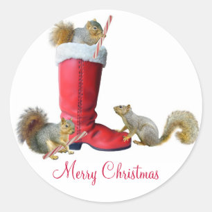 Squirrels in Santa's Boot Stickers