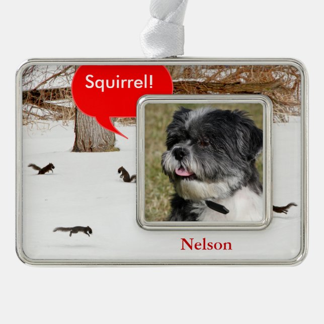 Squirrels in the Snow Pet Photo Christmas Ornament (Front)