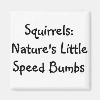 Squirrels Magnet