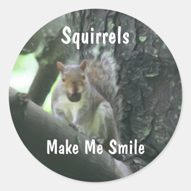 Squirrels Make Me Smile Animal  Classic Round Sticker (Front)