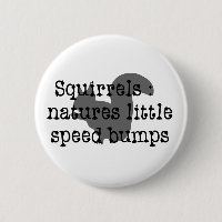 Squirrels : Natures Little Speedbumps