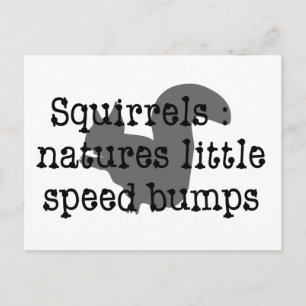 Squirrels : Natures Little Speedbumps Postcard