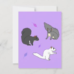 Squirrels Purple Postcard