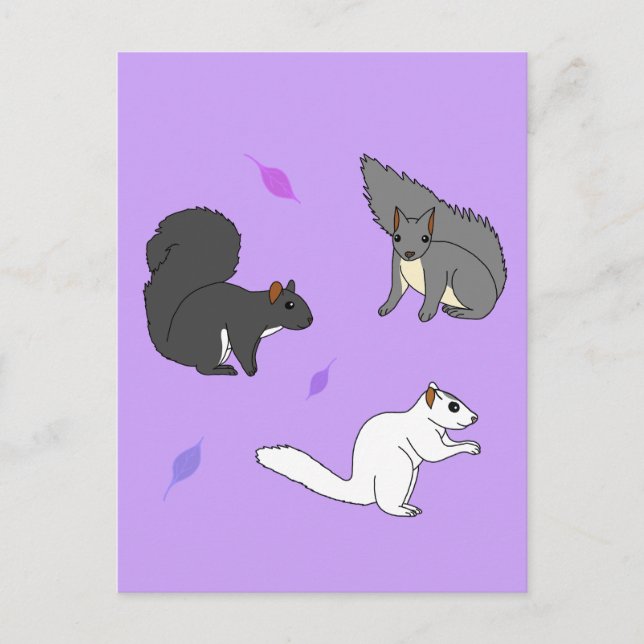 Squirrels Purple Postcard (Front)