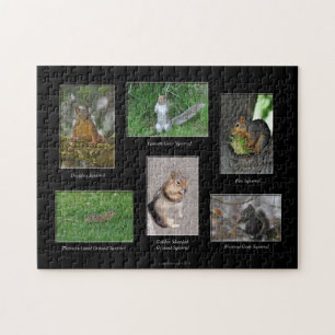 Squirrels! Puzzle