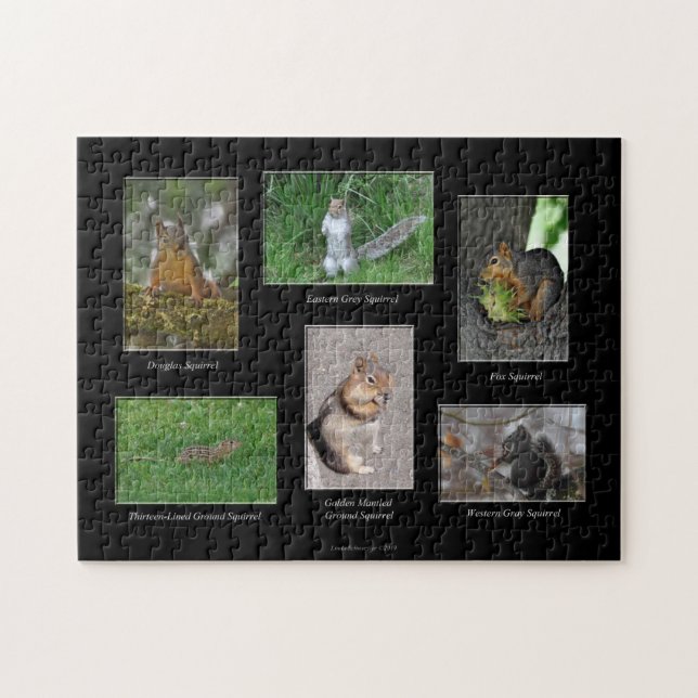 Squirrels! Puzzle (Horizontal)