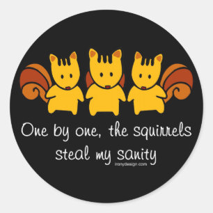 Squirrels steal my sanity classic round sticker