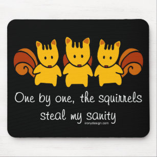 Squirrels steal my sanity mouse mat