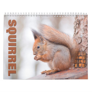 Squirrels Wall Calendar