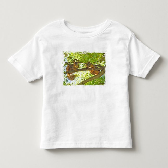 Squirrels watching child's t-shirt (Front)