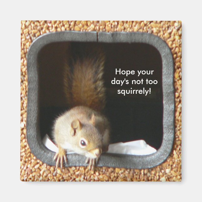 Squirrely Magnet (Front)