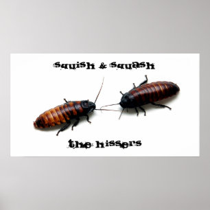 Squish & Squash,  The Hissers Poster