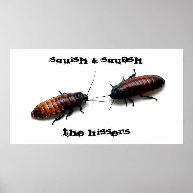 Squish & Squash,  The Hissers Poster (Front)