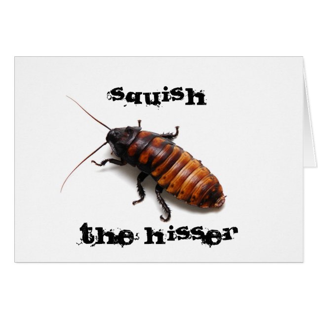 Squish the Hisser (Front Horizontal)