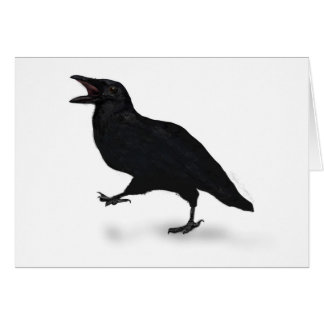 Sqwarking Crow