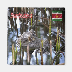 SR - Suriname - Bigi-Pan kaaiman Magnet