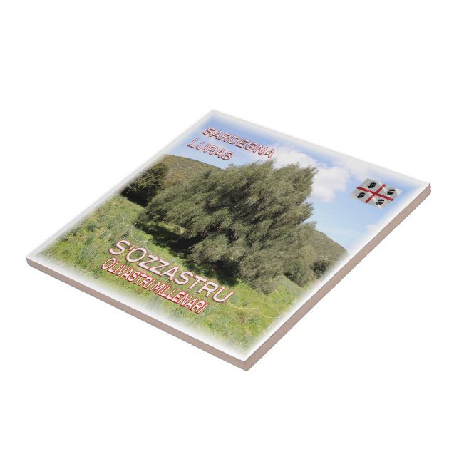 SRD007 LURAS Millennial Olive Trees, Tile (Side)