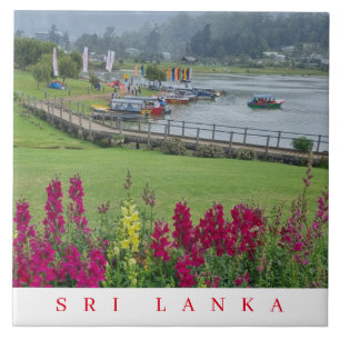 Sri Lanka Lake Gregory view ceramic tile