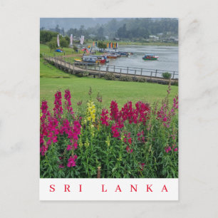 Sri Lanka Lake Gregory view postcard
