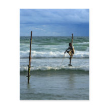 Sri Lanka stick fisherman