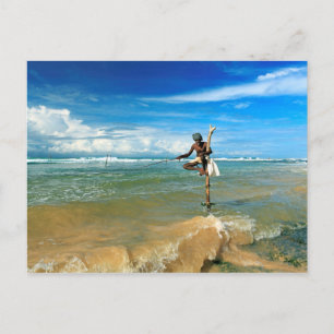 Sri Lanka stick fisherman Postcard