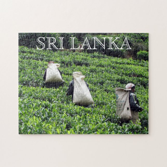 sri lanka tea growers jigsaw puzzle (Horizontal)