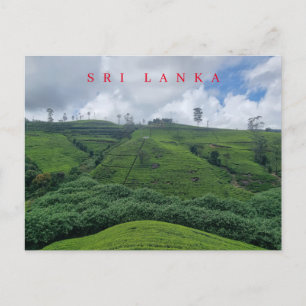 Sri Lanka tea plantation view postcard