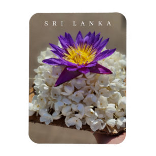Sri Lanka temple flower offering fridge magnet